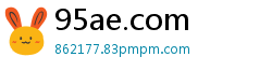 95ae.com